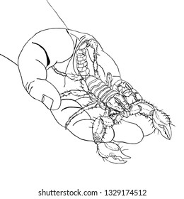 Scorpion on hand