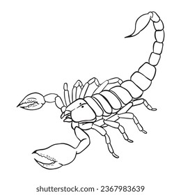 Scorpion Outline art ,good for graphic resources, printable art, suitable for design resources, logo, template designs, and more. 