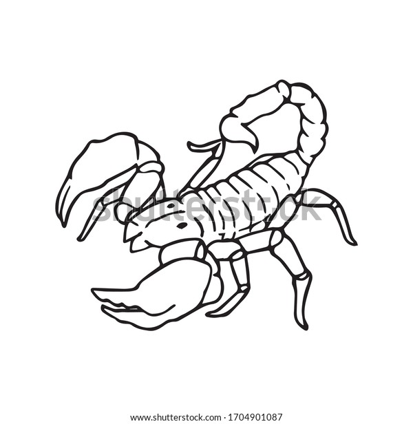 Scorpion Outline Hand Drawn Illustration Dangerous Stock Vector ...