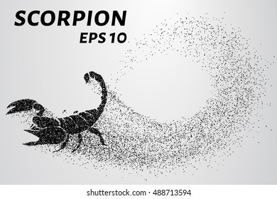 Scorpion of the particles. Scorpion consists of small circles. Vector illustration