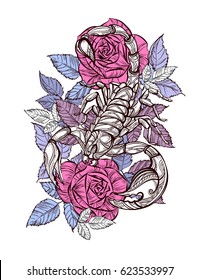 Scorpion and roses - color tattoo, Zodiac sign or print for tshirts