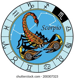 scorpion or scorpio astrological zodiac sign