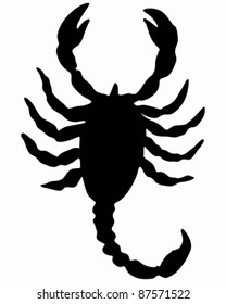 Scorpion Silhouette