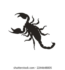 scorpion silhouette creative design. Vector illustration. svg