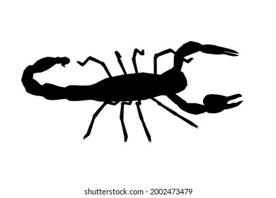 Scorpion silhouette isolated on white background. Vector illustration