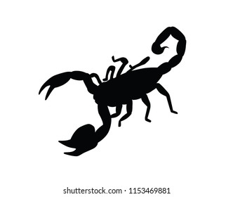 Scorpion Silhouette Isolated Vector 