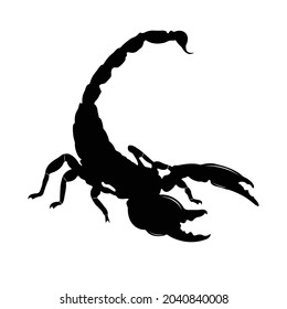 Scorpion Silhouette on isolated background. Vector drawing
