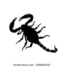 Scorpion Silhouette on isolated background. Vector drawing
