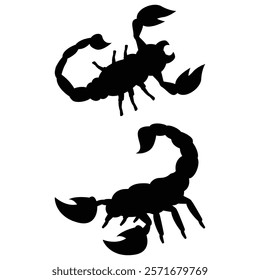 Scorpion Silhouette on a white Background