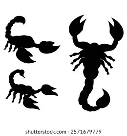 Scorpion Silhouette on a white Background