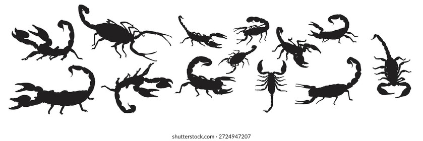 Conjunto de silueta de escorpión Ilustración vectorial