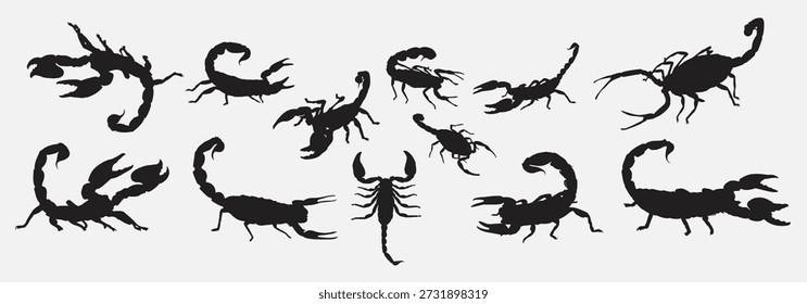 Conjunto de silueta de escorpión Ilustración vectorial