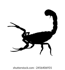 scorpion silhouette - vector illustration	