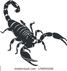 Scorpion Silhouette Vector Illustration Isolated on White