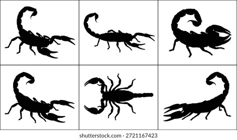 Skorpion Silhouette Vektorgrafik in Schwarz, zeigt verschiedene Posen und Anatomie für Design, Taxonomie, Entomologie und Illustration Zwecke