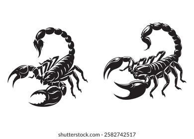 scorpion silhouette vector in white background