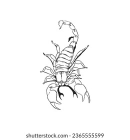 Scorpion sketch 2 vector isolated svg