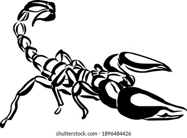 
scorpion sketch in black and white color