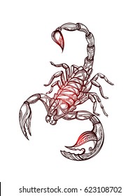 Scorpion tattoo - ornate exquisite scorpion image, sign horoscope