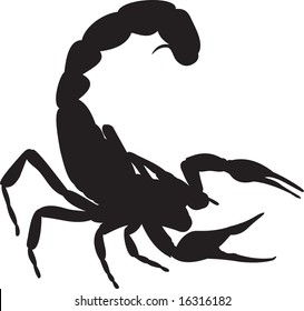 scorpion, vector
