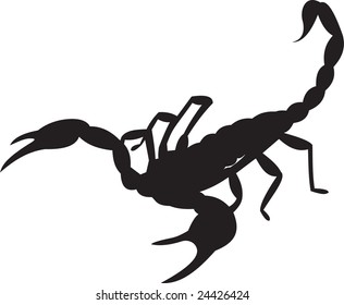 scorpion, vector