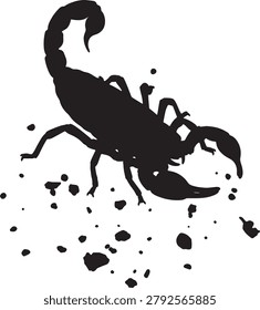 Scorpion vector, arachnid graphic, isolated on transparent grid, dark silhouette.