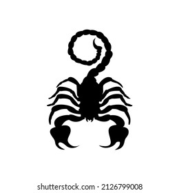 Scorpion vector, black silhouette of poisonous insect, vector icon of the scorpion zodiac sign.