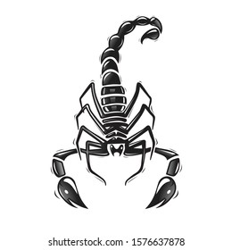 scorpion vector and complete illustration design icon 