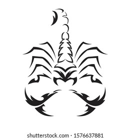 scorpion vector and complete illustration design icon 