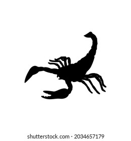 Scorpion vector icon. poison illustration sign. insect symbol or logo.
