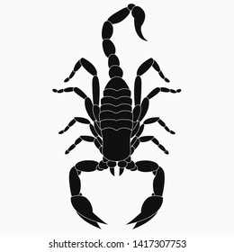 Scorpion vector icon. The symbol of November