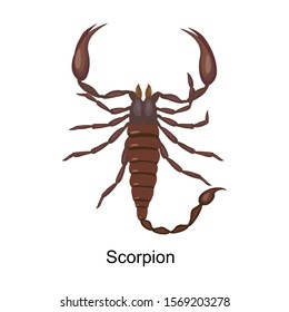 Scorpion vector icon.Cartoon vector icon isolated on white background scorpion.