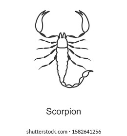 Scorpion vector icon.Line vector icon isolated on white background scorpion.