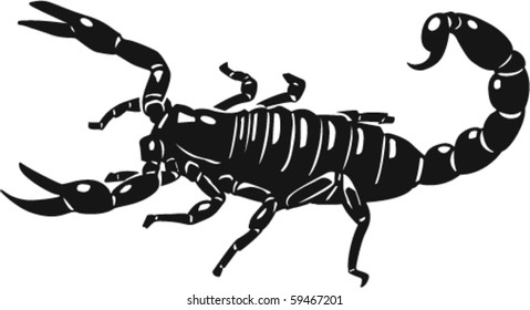 Scorpion Vector Illustration
