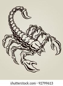 Scorpion vector illustration