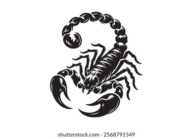 Scorpion Vector Illustration Free EPS Download 