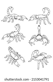 Scorpion vector illustration isolated on white background.