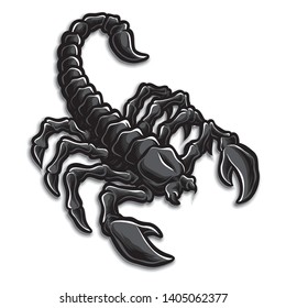 Scorpion Vector Logo And Illustration