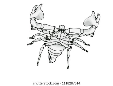 scorpion vector outline