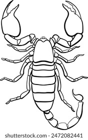 Skorpion, Vektorgrafik Umrissdarstellung eines Skorpion