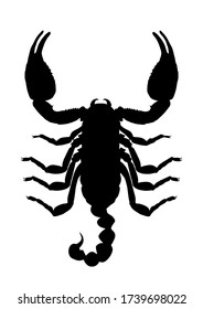 Scorpion vector silhouette illustration isolated on white background. Deadly venom animal symbol. Poison animal. 