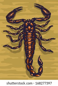 A scorpion, a view from the top, vector illustration.