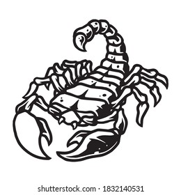 Scorpion vintage tattoo template in black and white colors isolated vector illustration