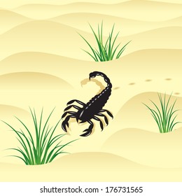 Scorpion. The wild nature, black scorpion with a sting on a tail and yellow sand to deserts.