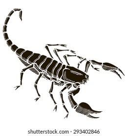 Scorpion. Zodiac sign - Scorpio. Vector illustration. Black silhouette, white background