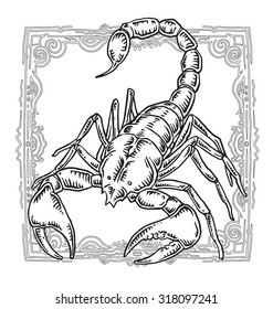 Scorpion zodiac sign vector illustration