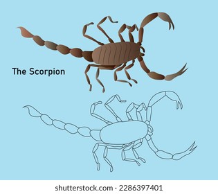 The scorpion,jungle ,desert,coloring book,africa,sketch of a scorpion.