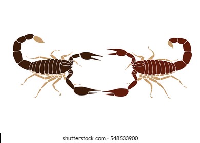 Scorpions fighting