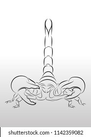 scorpions line drawing on white background,  Vector illustration
