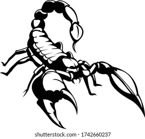 Scorpions Logo Template, Unique and fresh Scorpion Vector Illustrations svg